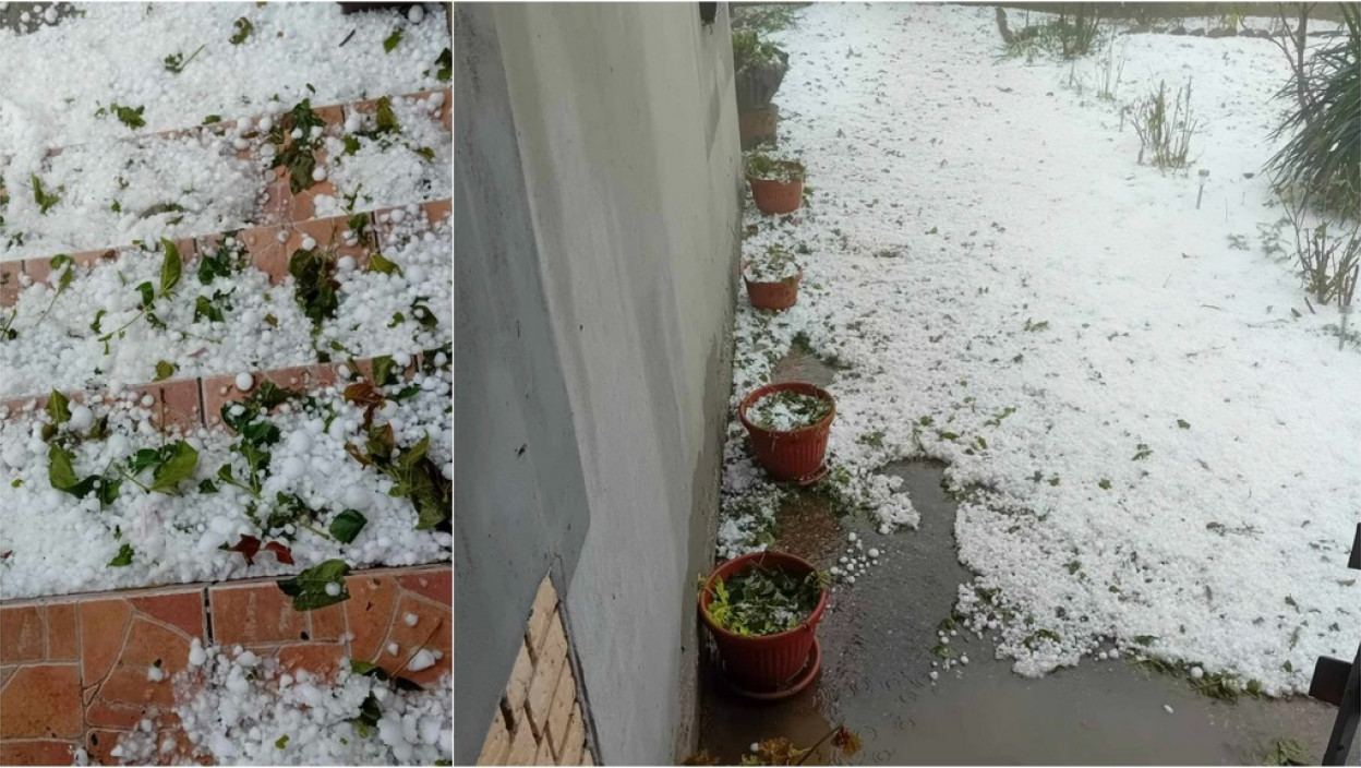 Majske nepogode sve uništile Poljoprivrednici u Šumadiji se hvataju za glavu; Sve je uništeno, ovo je užas!