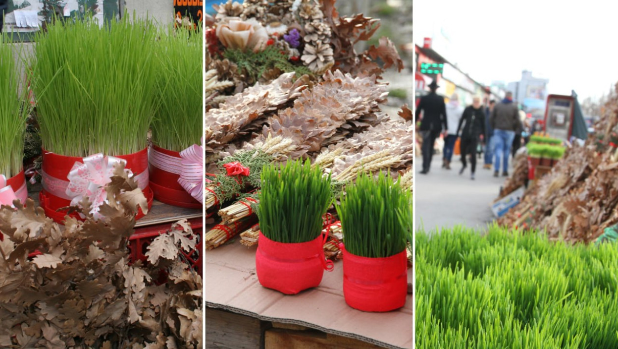 ОВАКО ЋЕ ВАМ БОЖИЋНА ПШЕНИЦА БИТИ САВРШЕНА Више је никада нећете куповати у продавници ако примените ОВЕ САВЕТЕ