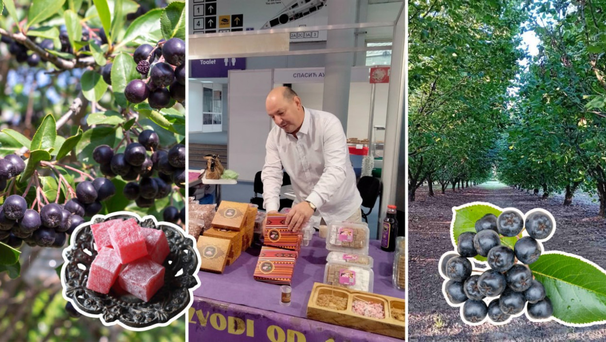 ПОЉОПРИВРЕДНО ГАЗДИНСТВО РАНКА ПАНИЋА ПРИМЕР УСПЕШНЕ ПРАКСЕ Ратлук од ароније из Бачке Паланке осладио се купцима