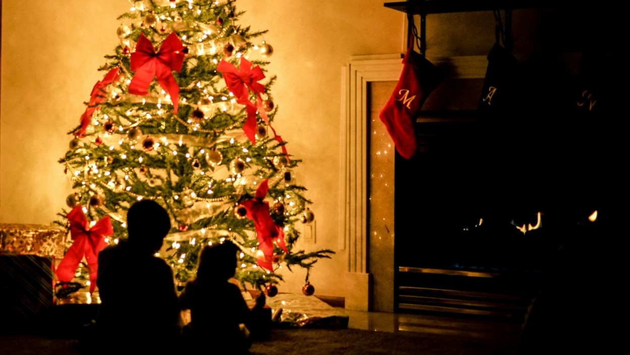 НА ОВА МЕСТА У КУЋИ НИКАКО НЕ СТАВЉАЈТЕ ЈЕЛКУ Стручњаци за фенг шуи имају јасна правила, ово је СЕДАМ злата вредних