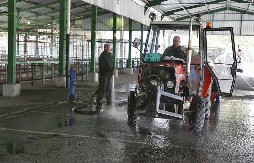 Radnici JKP Tržnica uređuju prostor pijace foto: Dnevnik.rs/arhiva