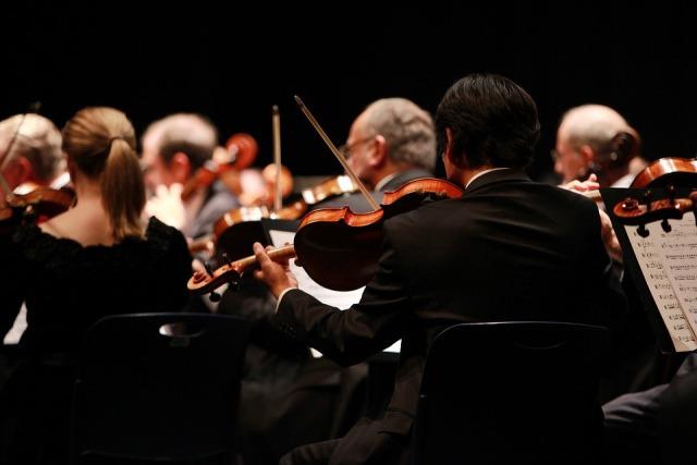 violinisti koncert