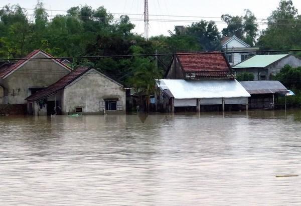 Poplave u vijetnamu Foto: english.vietnamnet.vn