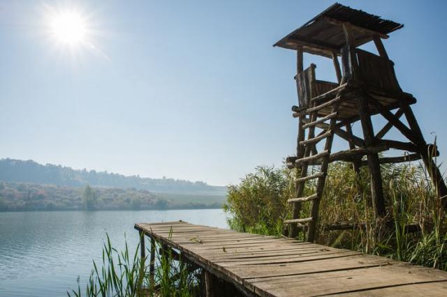 Osmatračnica na jezeru Moharač, najvećem na Fruškog gori Foto: J. Ivanović
