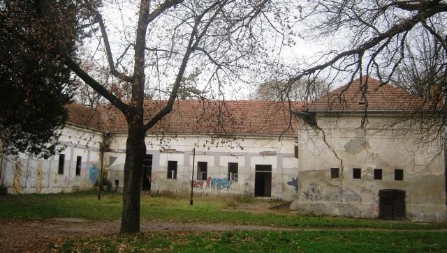 Novi Knezevac Glumici I Varosi Dvorci Postali Teret Naslovi Net