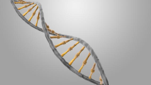 DNK, genetski iženjering Foto: freeimages.com