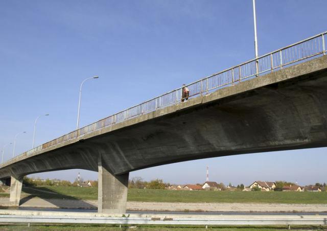 Sentandrejski most Foto: Dnevnik.rs/R. Hadžić