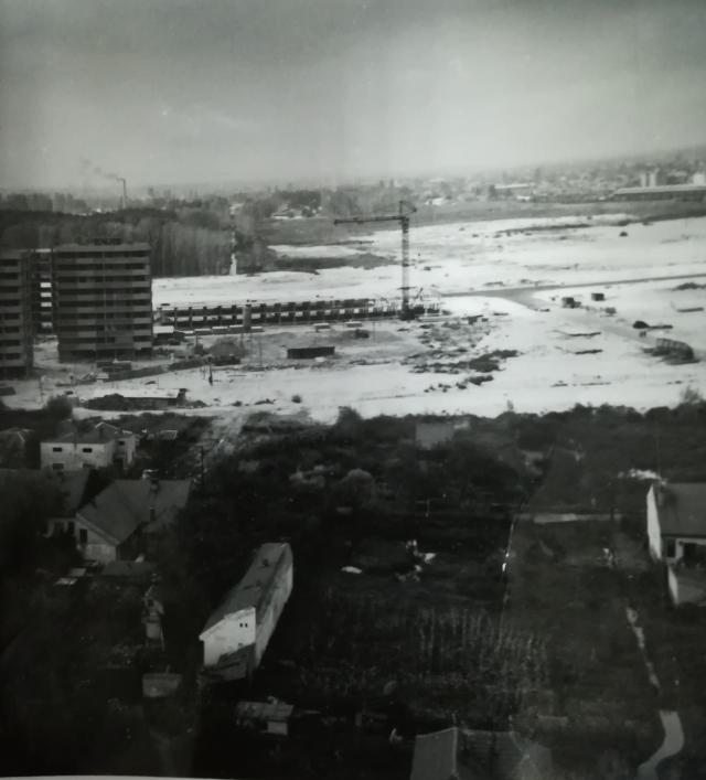 liman 1966