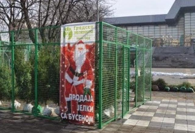 Prodaja jelki sa busenom ispred Spensa Foto: Dnevnik.rs