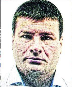 nikolic