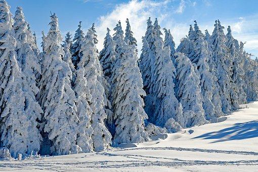 zima sneg pixabay