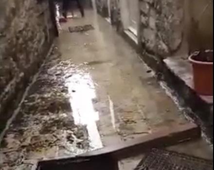 crna gora poplave, youtube