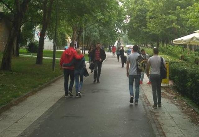 Studentski kampus u Novom Sadu Foto: Dnevnik.rs