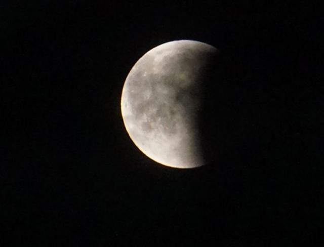 Pomračenje Meseca Foto: Tanjug/D. Kujundzic