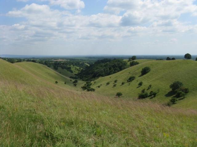 „Evropska Sahara” vojvođanske ravnice Foto:  JP „Vojvodinašume”