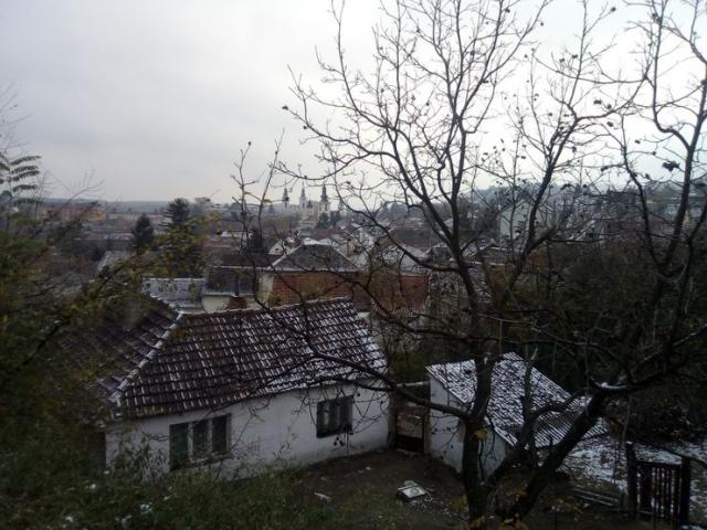 Prvi sneg u Karlovcima odmah se topio Foto: Dnevnik.rs
