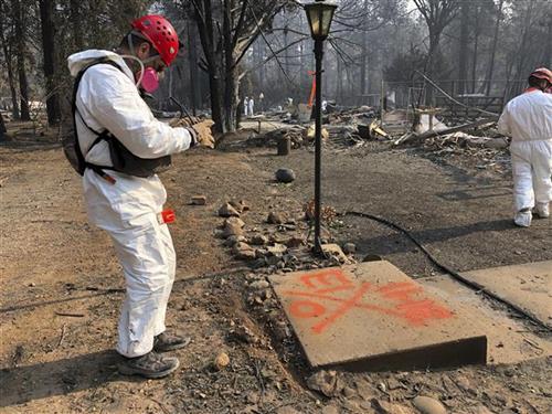 Kalifornija, sanacija posle požara foto: AP Photo/Sudhin Thanawala