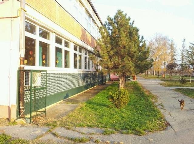 U školi „Olga Petrov” u Banatskom Brestovcu sređena su dva toaleta namenjena za predškolce Foto: Opština Pančevo