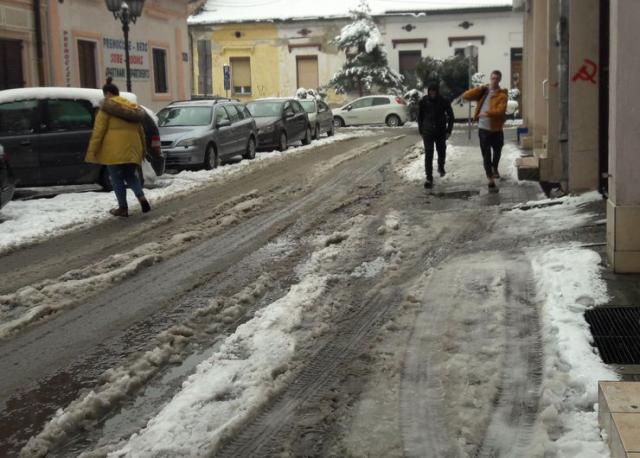 Bljuzgavica smeta i pešacima i vozačima  Foto: B. Pavković