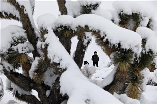 Snežna oluja u Arizoni  Foto: AP Photo/John Loche