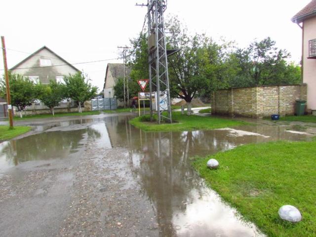 Zapušeni kanali i loši odvodi u Zmajevu Foto: L.Kiš