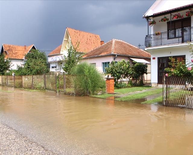 poplava, Tanjug