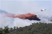 Požari u Portugaliji Foto: AP
