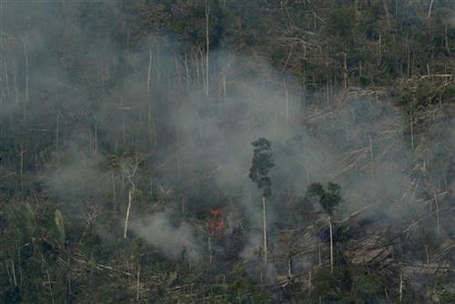 Požar u Amazonoji Foto AP Photo/Eraldo Peres