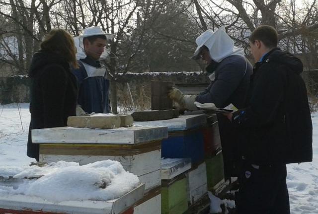 Pčelarska sekcija u Poljoprivrednoj školi u Futogu Foto: S. Šušnjević