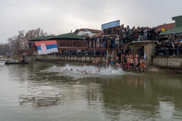  Plivanje se za časni krst u Sr. Karlovcima Foto: Đ. Radivojević