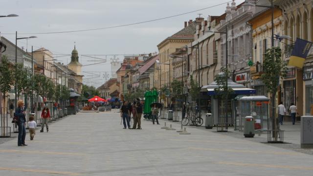 zrenjanin bakic