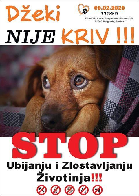 Plakat protestnog skupa „Borba za Džekija“  Foto:promo/ Dnevnik.rs