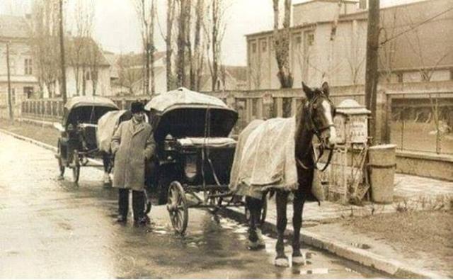 Novosadski fijakeristi vozili po tarifi kao u Budimpešti Foto: privatna arhiva