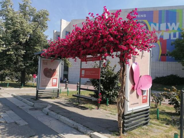 Cvetno stajalište u centru foto: S. Kovač