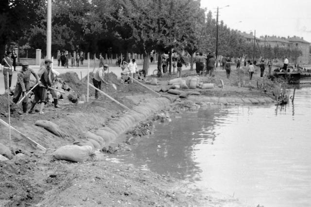 Novosađani još se živo sećaju velike poplave iz 1965. godine Foto: Arhiv grada