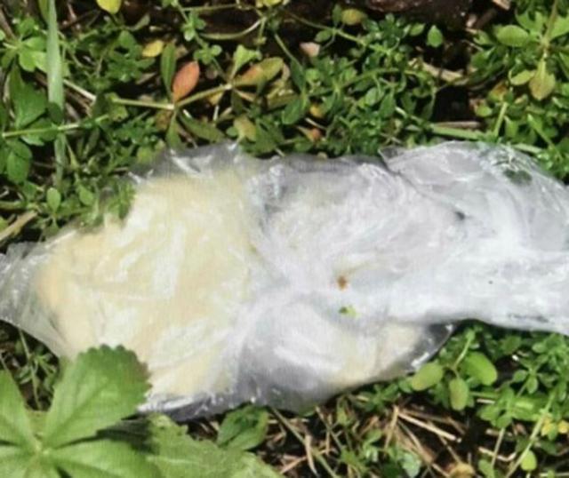  Osumnjičeni bacio kesicu sa heroinom Foto: Mup Srbije