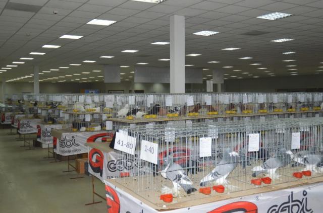 У Сомбору отворен Међународни сајам перадарства | Dnevnik