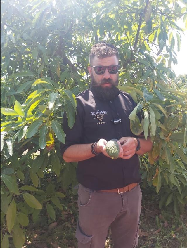 Јоргос Канелакис на својој плантажи авокада