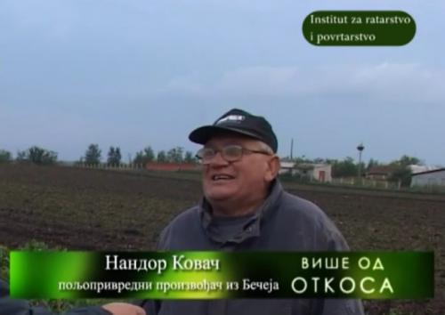 Вађење шећерне репе сорте Нора код Нандора Ковача из Бечеја | Dnevnik