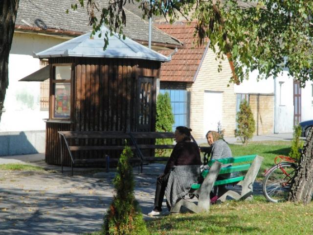 Војводина Dnevnik